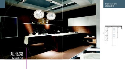 西泊櫥柜產(chǎn)品效果圖片展示_供應(yīng)_價格配置_合肥市西泊家具_(dá)中櫥網(wǎng)